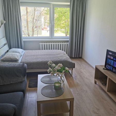 Modern Studio Debreceno, Self-Check-In, Free Parking ไคลเพดา ภายนอก รูปภาพ