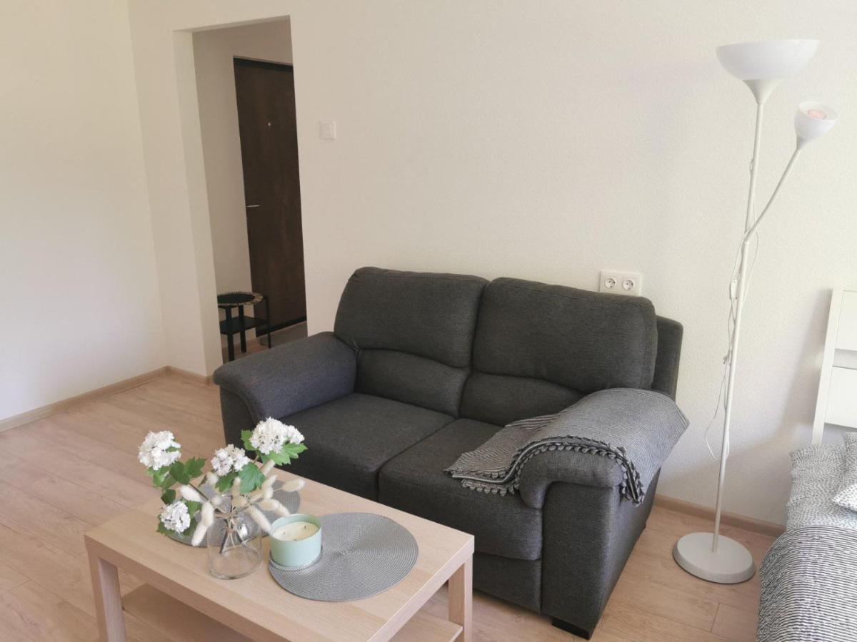Modern Studio Debreceno, Self-Check-In, Free Parking ไคลเพดา ภายนอก รูปภาพ